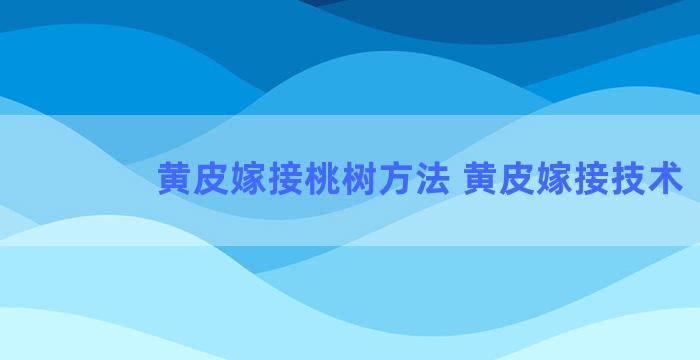 黄皮嫁接桃树方法 黄皮嫁接技术